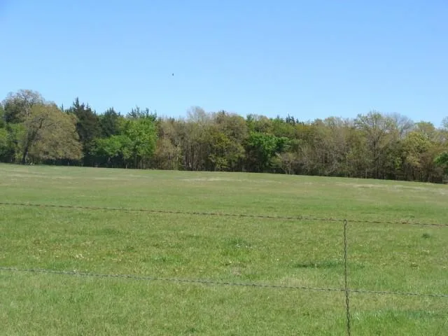 TBD2 Fleming Road Bells, TX 75414