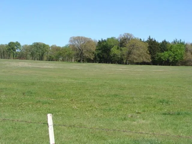 TBD2 Fleming Road Bells, TX 75414