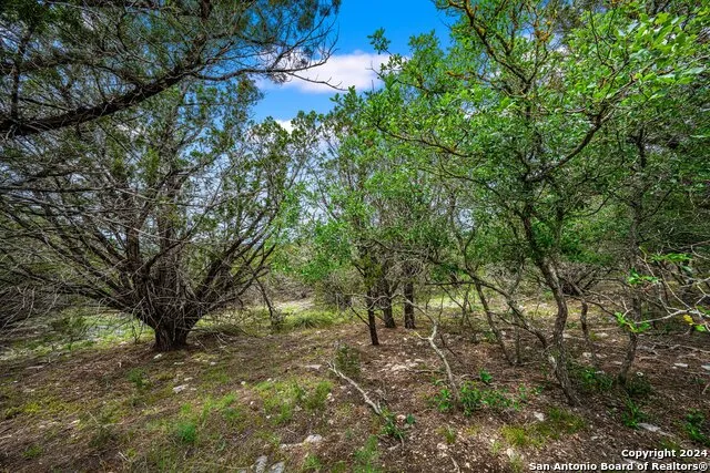 195 Countless Views Dr. Kerrville, TX 78028