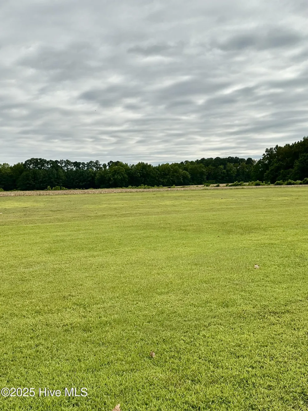 146 Cherry Street Cerro Gordo, NC 28430