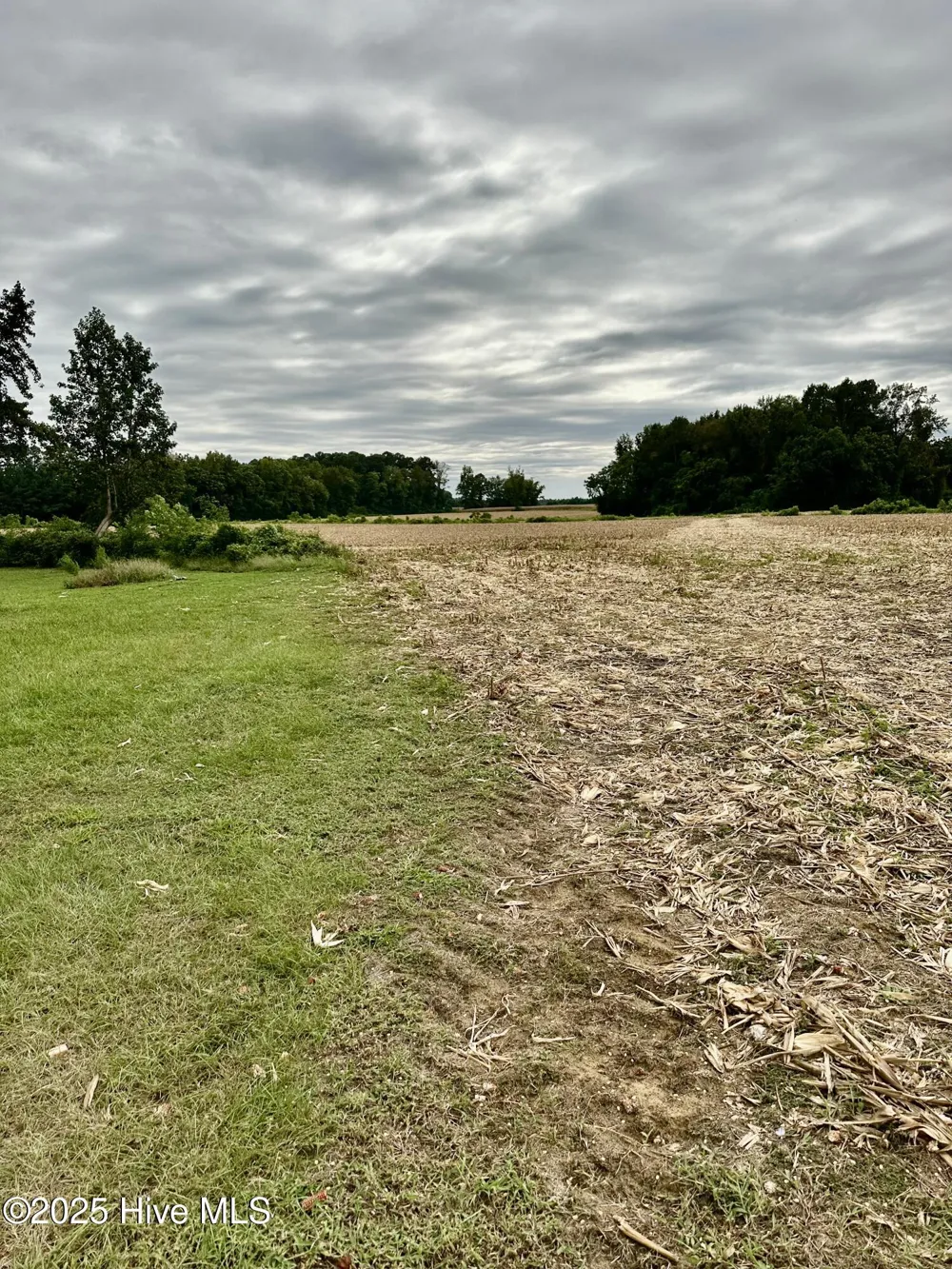 146 Cherry Street Cerro Gordo, NC 28430
