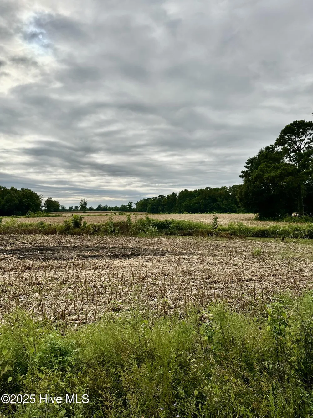 146 Cherry Street Cerro Gordo, NC 28430