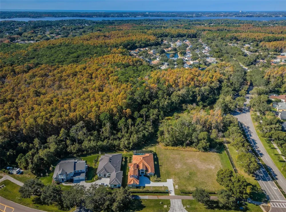4445 LANSBROOK PARKWAY Palm Harbor, FL 34685
