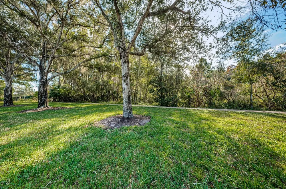 4445 LANSBROOK PARKWAY Palm Harbor, FL 34685