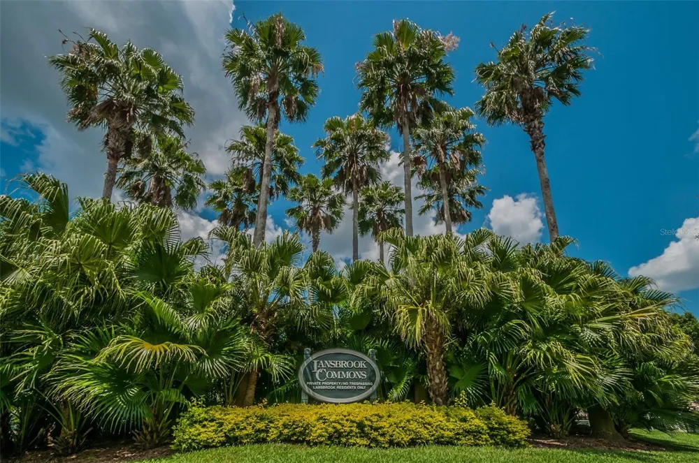 4445 LANSBROOK PARKWAY Palm Harbor, FL 34685