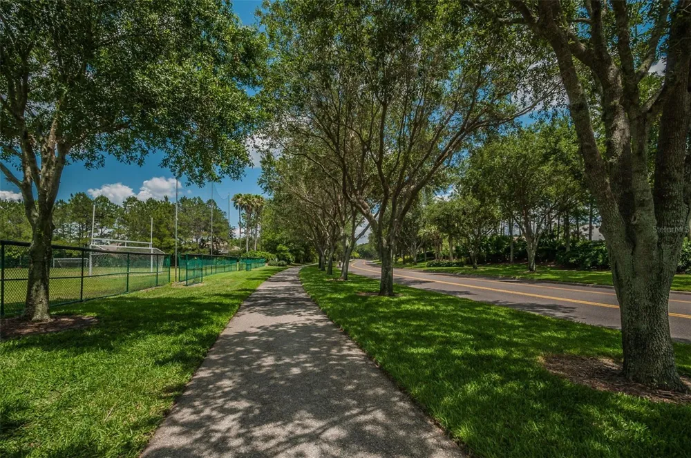 4445 LANSBROOK PARKWAY Palm Harbor, FL 34685