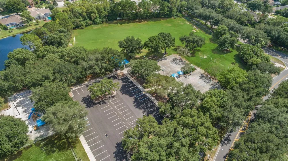 4445 LANSBROOK PARKWAY Palm Harbor, FL 34685