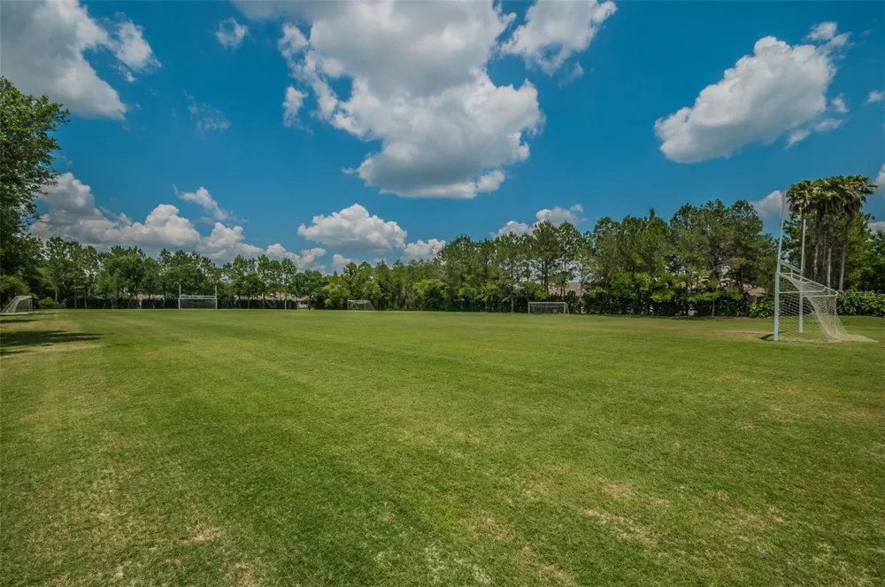 4445 LANSBROOK PARKWAY Palm Harbor, FL 34685