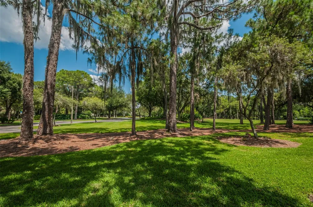 4445 LANSBROOK PARKWAY Palm Harbor, FL 34685