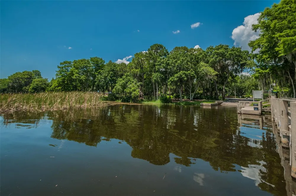 4445 LANSBROOK PARKWAY Palm Harbor, FL 34685