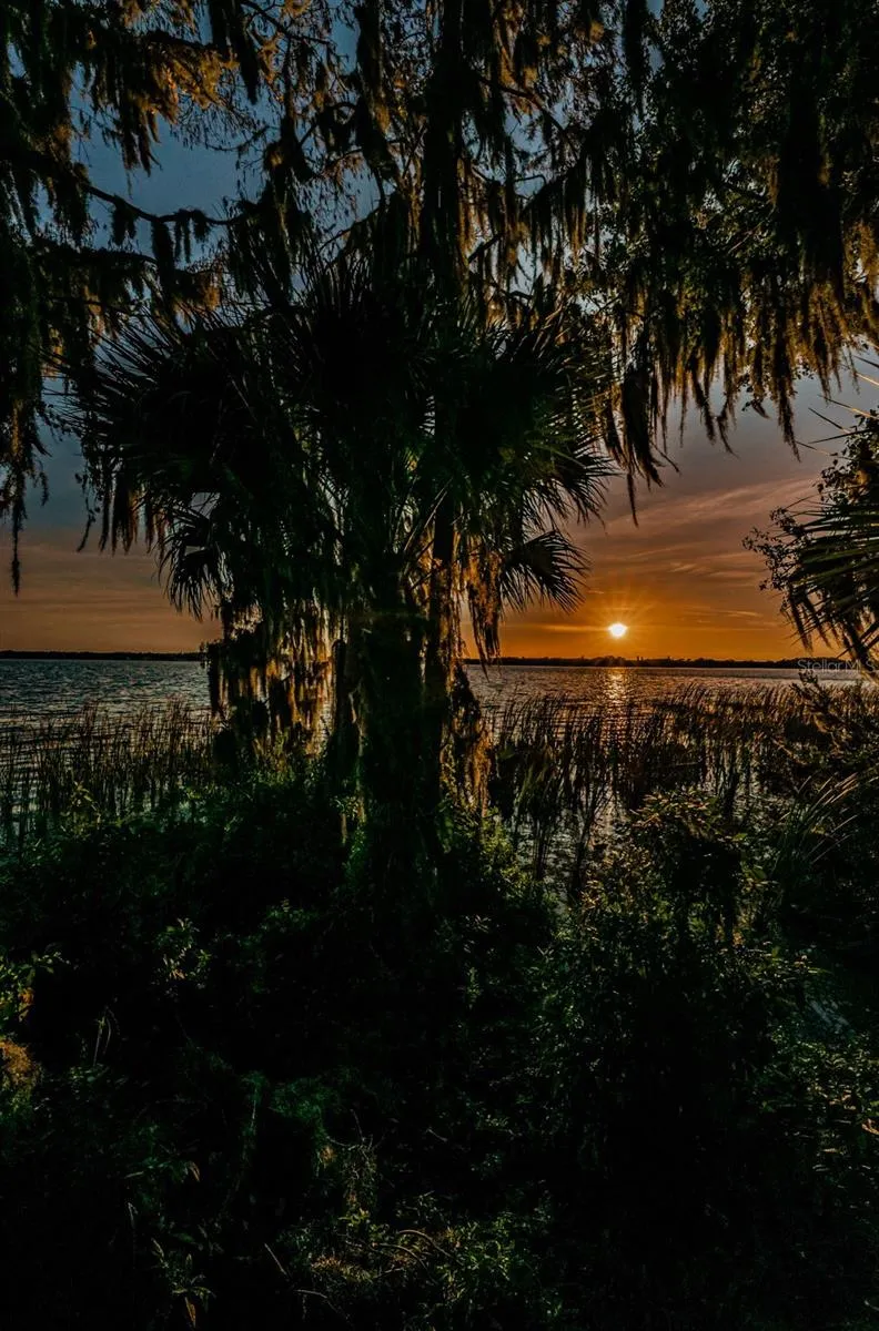4445 LANSBROOK PARKWAY Palm Harbor, FL 34685