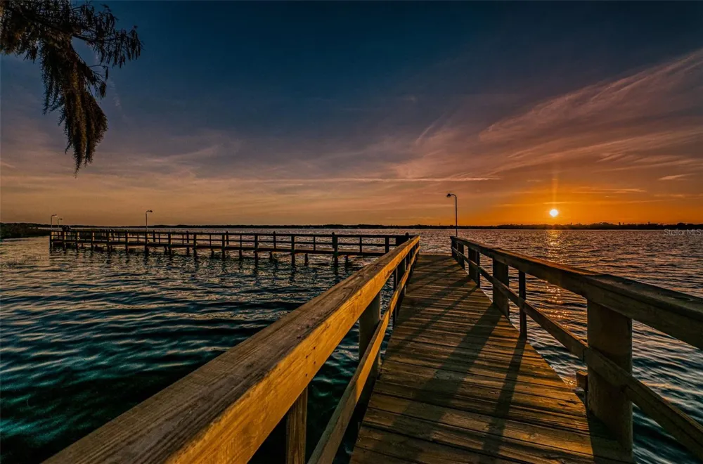 4445 LANSBROOK PARKWAY Palm Harbor, FL 34685