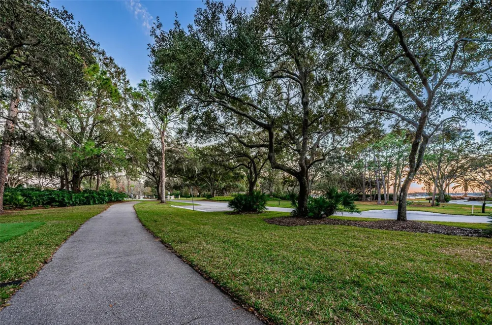 4445 LANSBROOK PARKWAY Palm Harbor, FL 34685