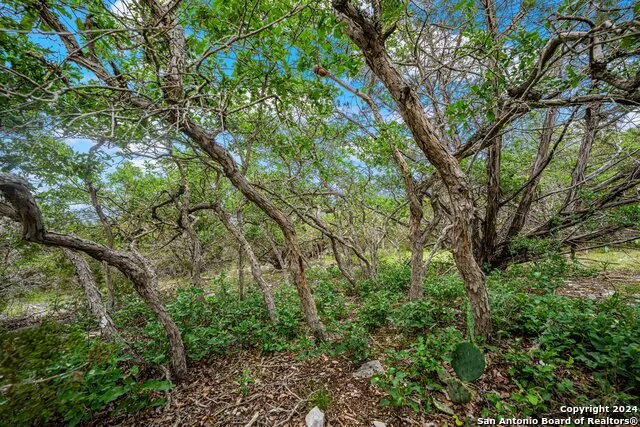 200 Countless Views Dr. Kerrville, TX 78028