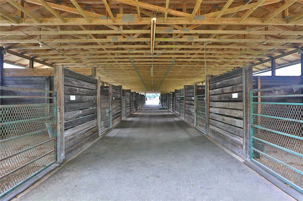 19431 NE 17TH PLACE Williston, FL 32696