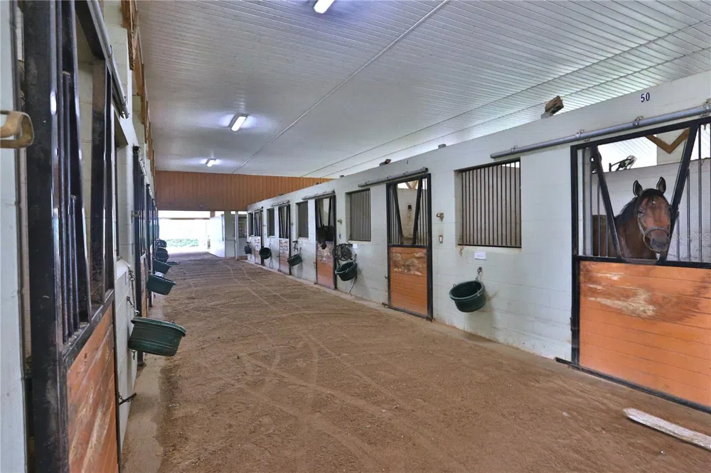 19431 NE 17TH PLACE Williston, FL 32696