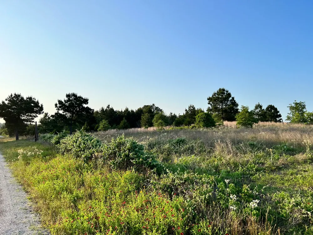 27 Kinsey Rd Paige, TX 78659