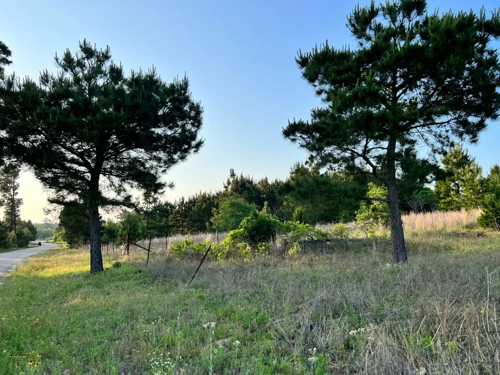 27 Kinsey Rd Paige, TX 78659