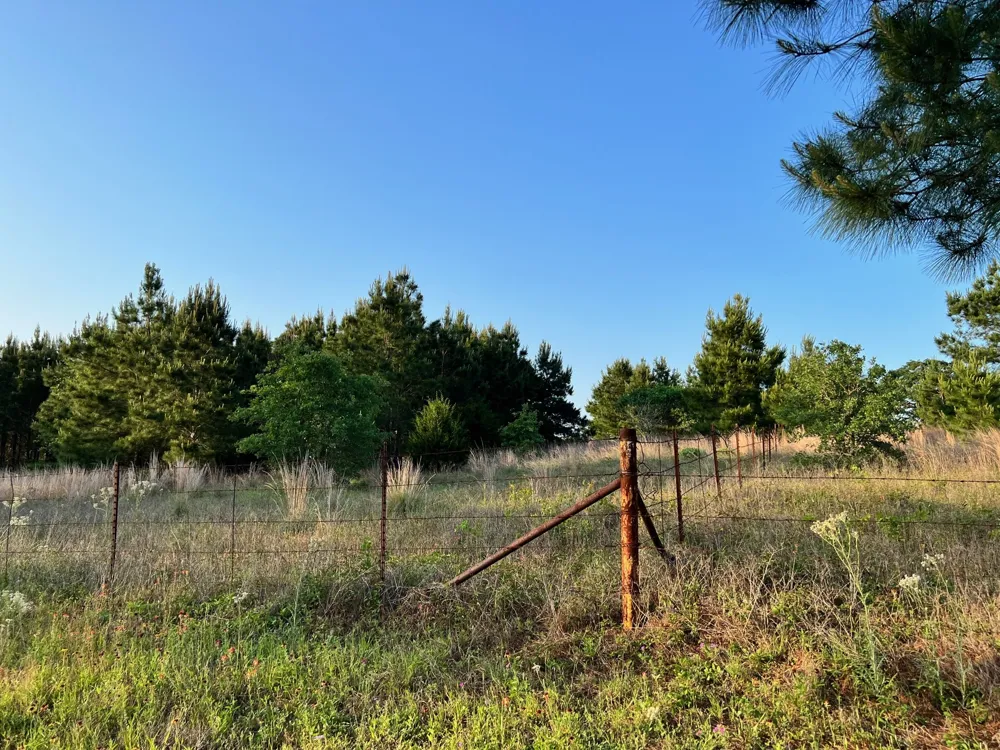 27 Kinsey Rd Paige, TX 78659