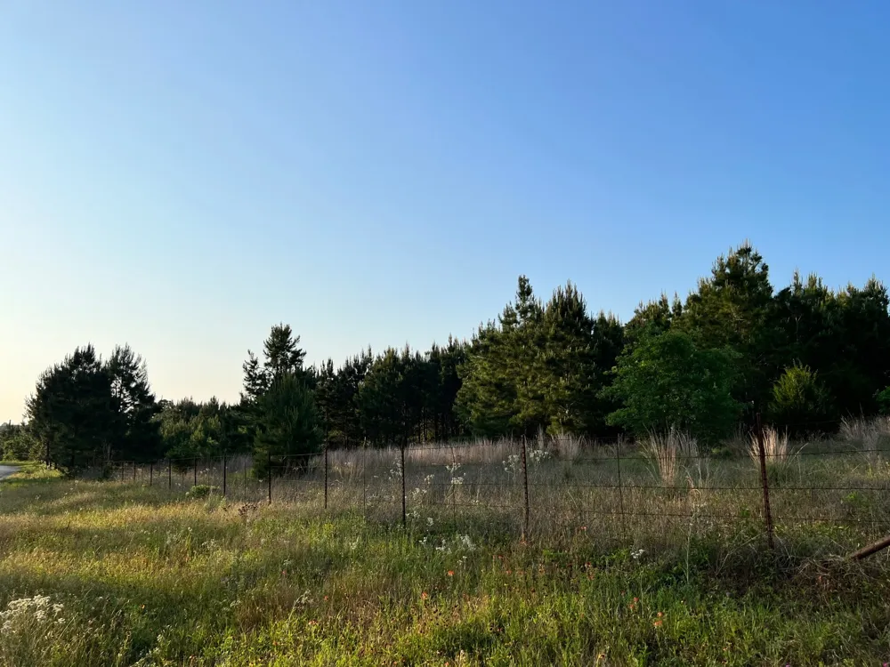 27 Kinsey Rd Paige, TX 78659