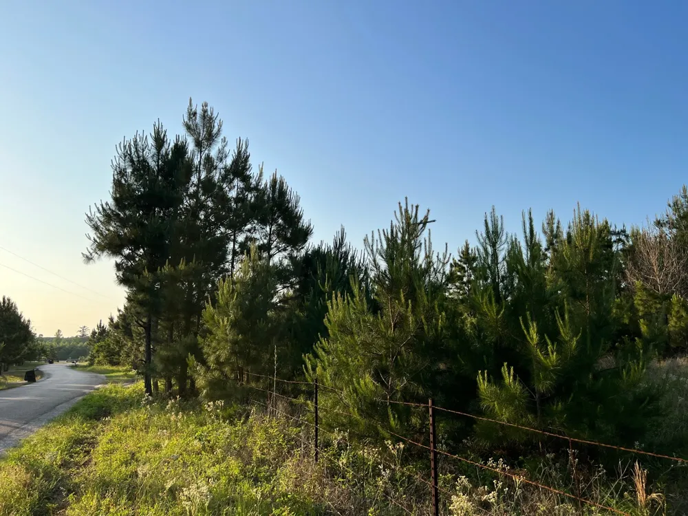 27 Kinsey Rd Paige, TX 78659