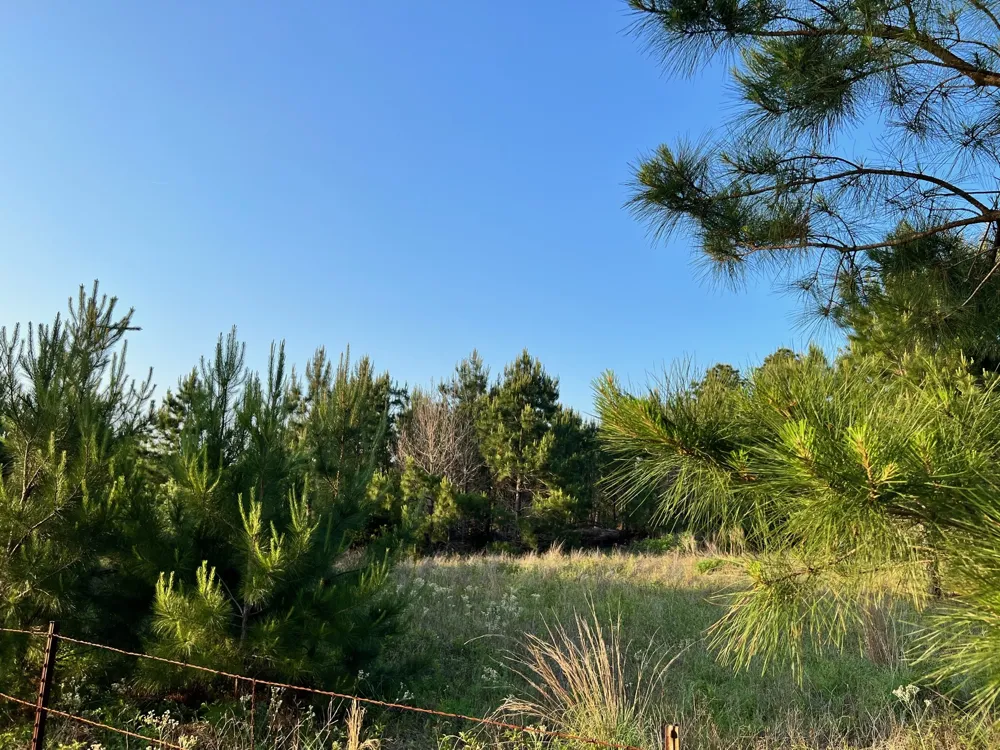 27 Kinsey Rd Paige, TX 78659