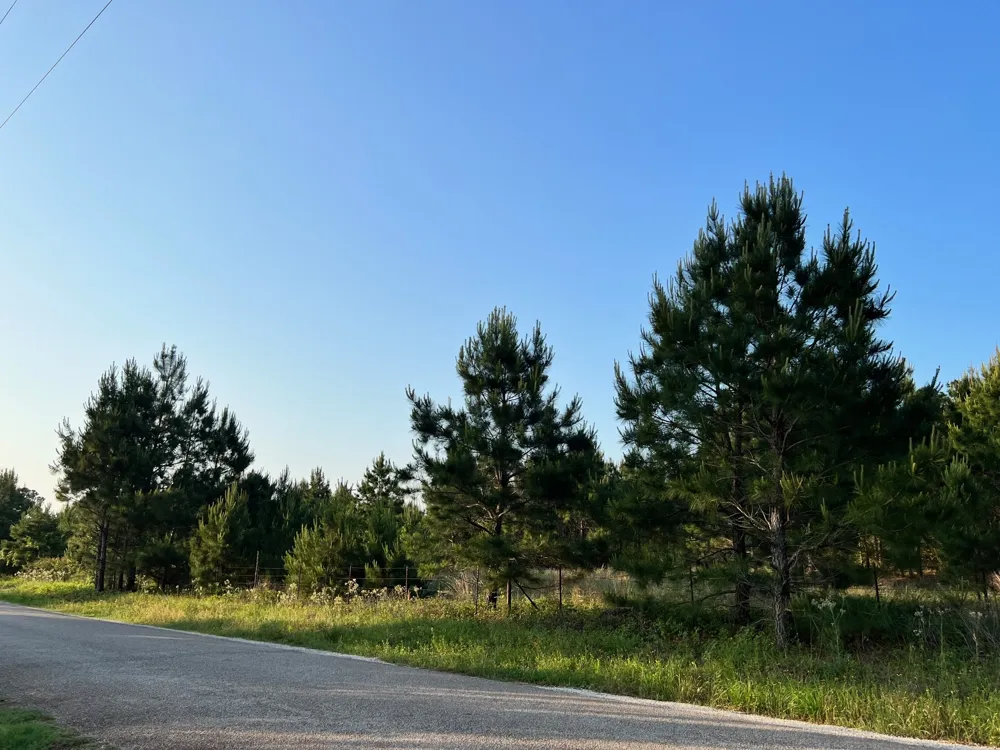 27 Kinsey Rd Paige, TX 78659
