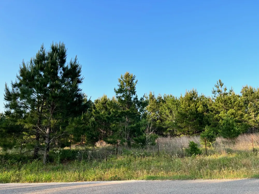 27 Kinsey Rd Paige, TX 78659