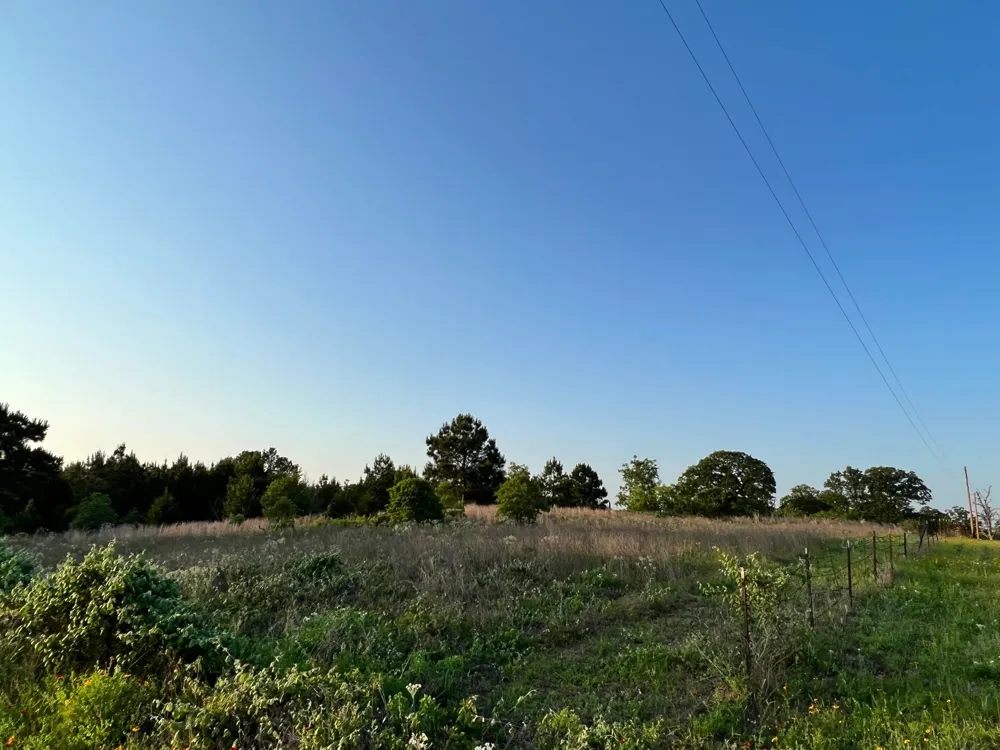 27 Kinsey Rd Paige, TX 78659