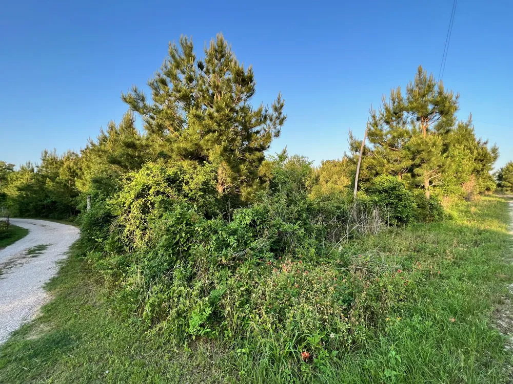 27 Kinsey Rd Paige, TX 78659