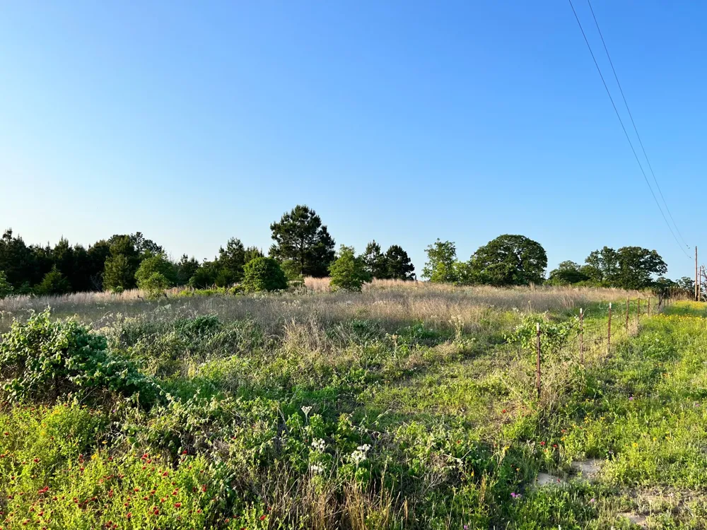 27 Kinsey Rd Paige, TX 78659