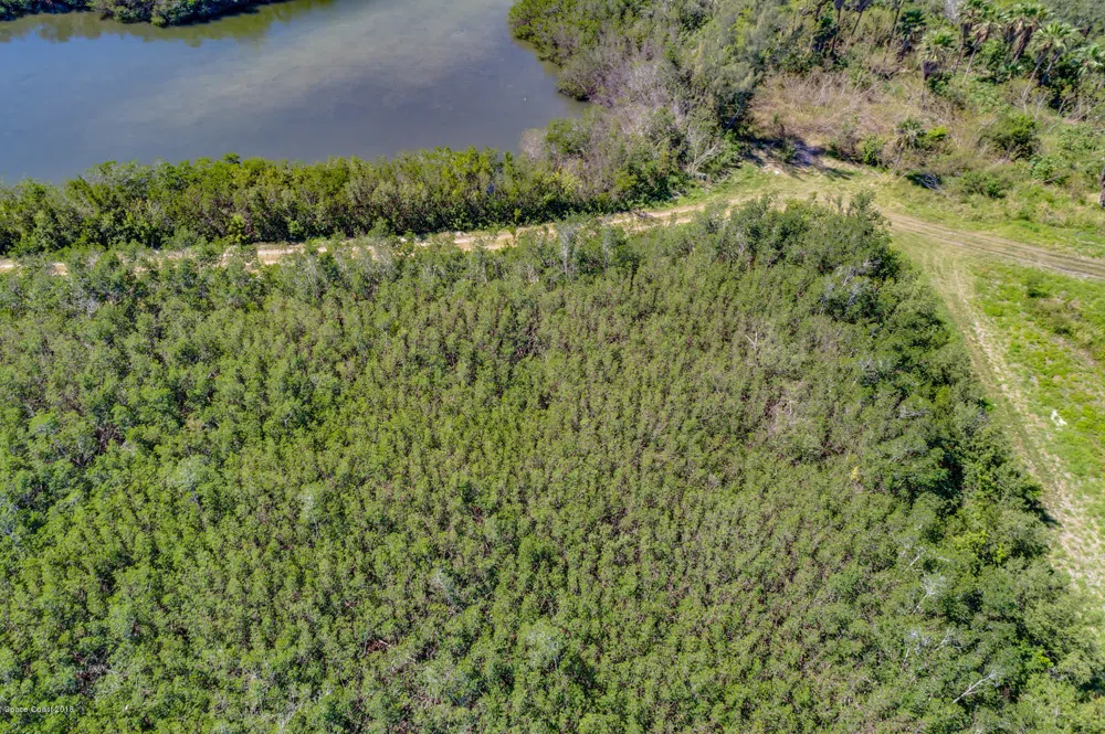 Unknown Melbourne Beach, FL 32951