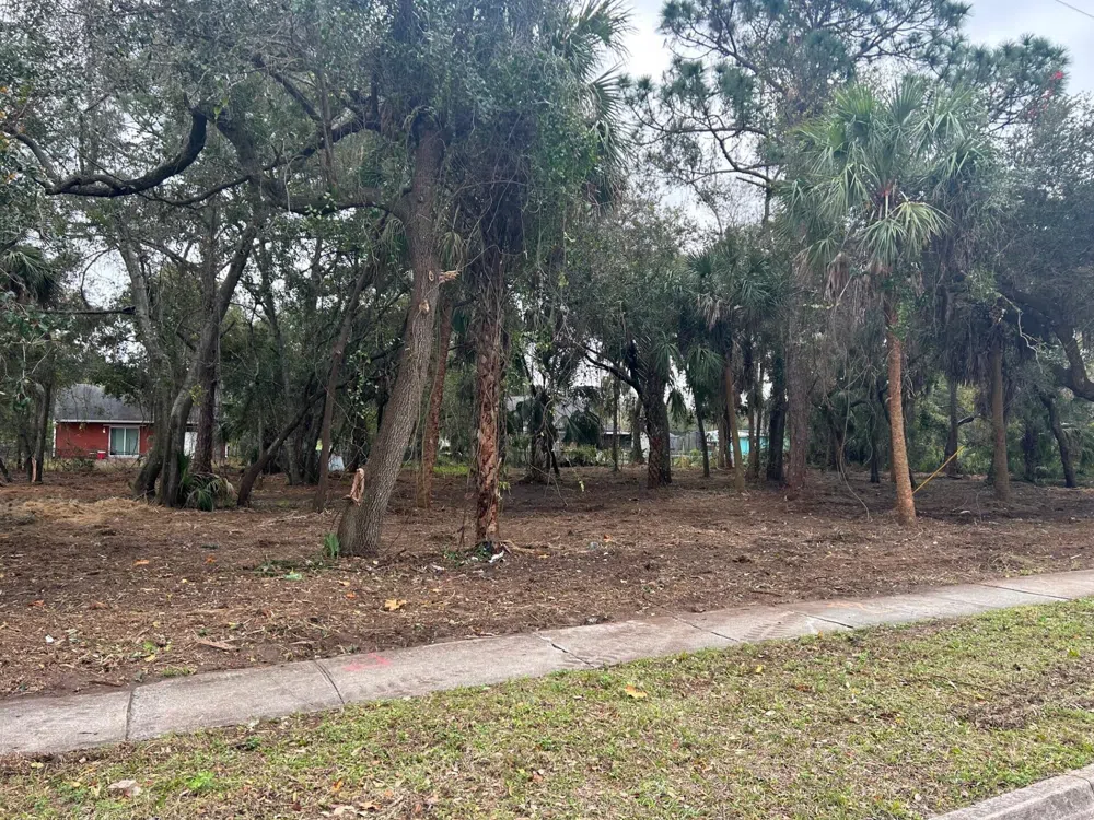 Fiske Rockledge, FL 32955