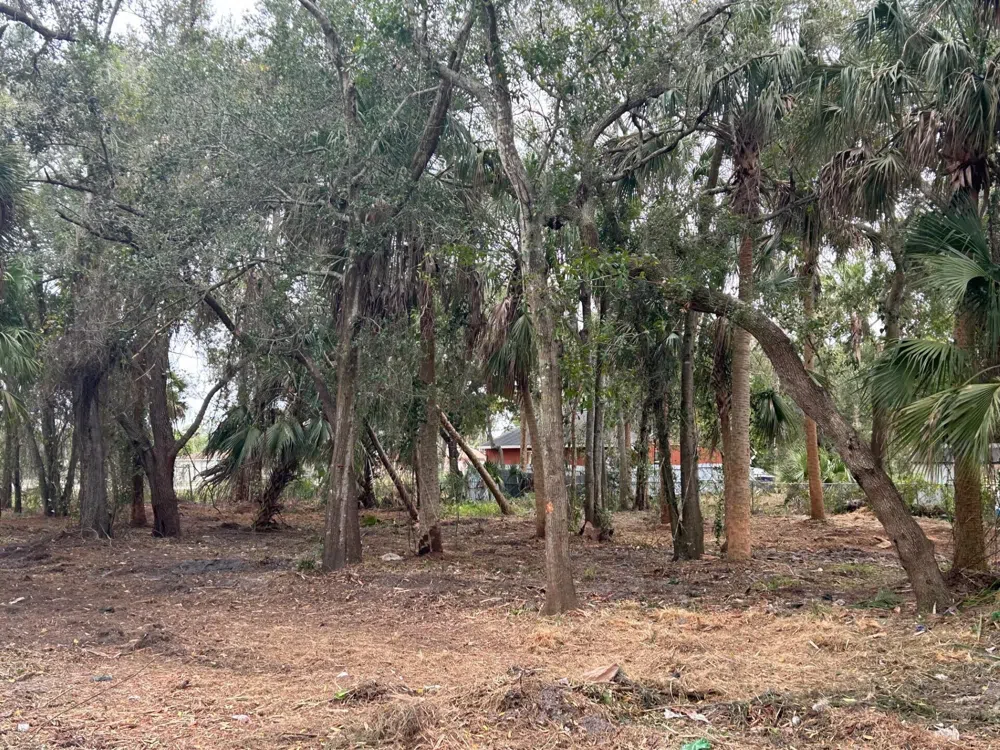 Fiske Rockledge, FL 32955