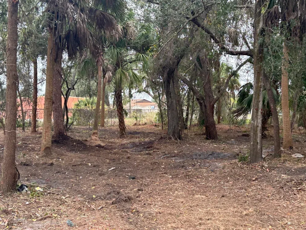 Fiske Rockledge, FL 32955