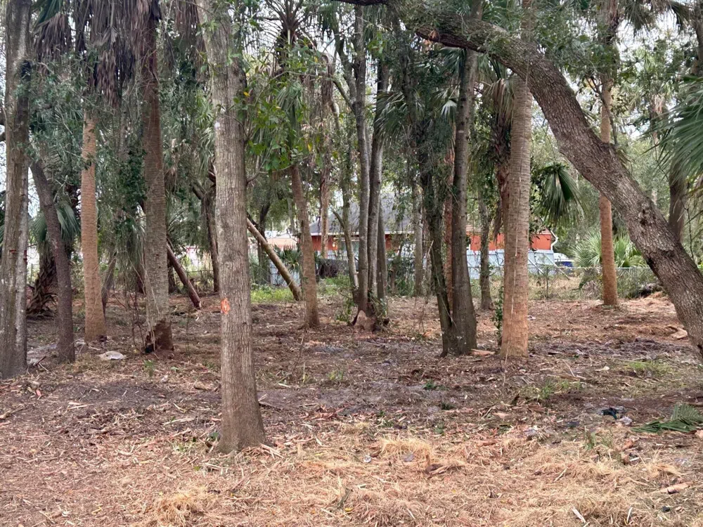 Fiske Rockledge, FL 32955