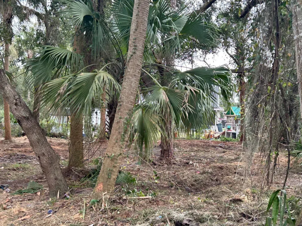 Fiske Rockledge, FL 32955