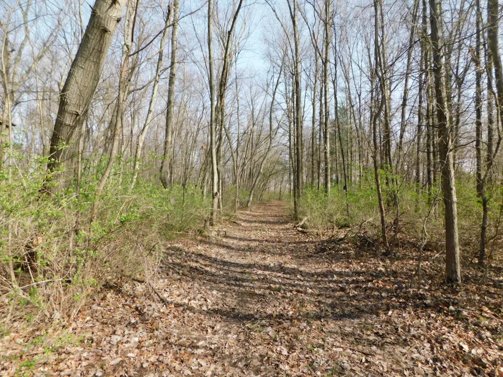 1976 Townline Road Sodus Township, MI 49022