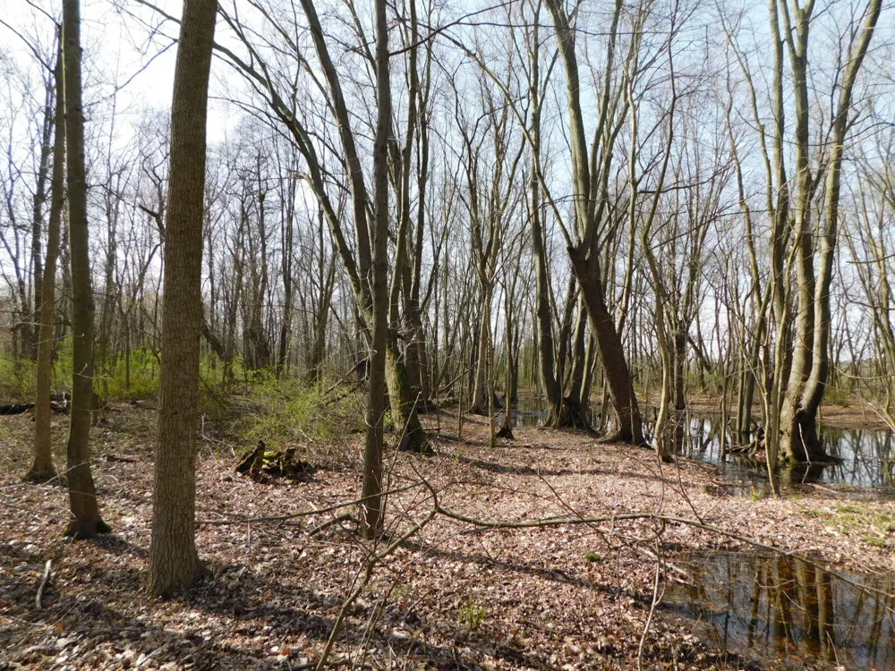 1976 Townline Road Sodus Township, MI 49022