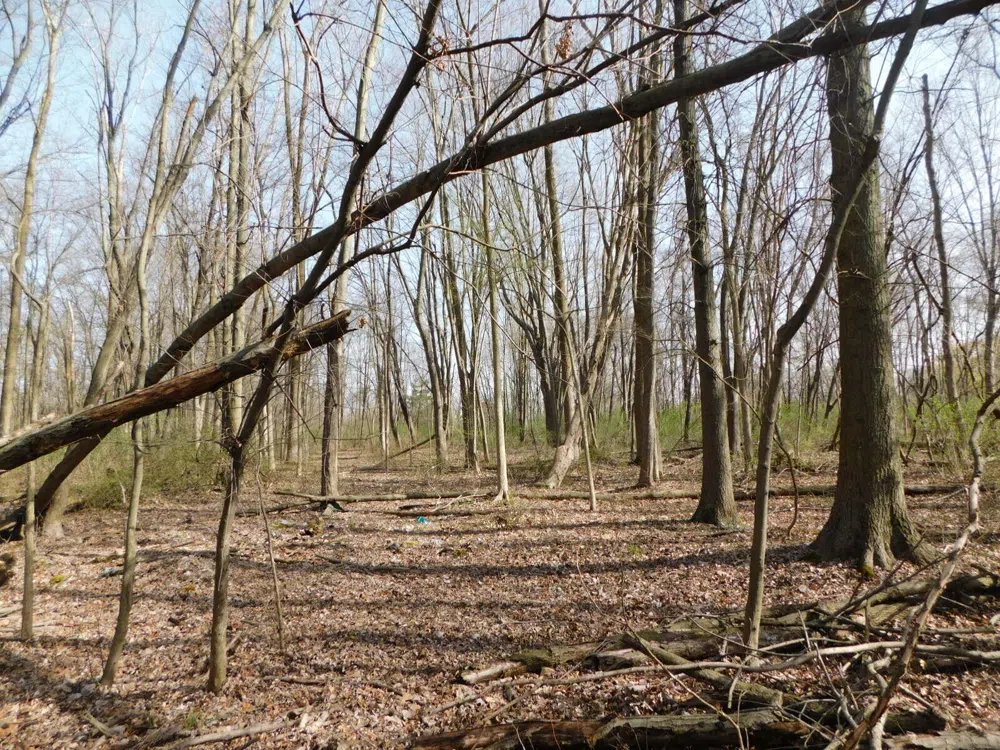 1976 Townline Road Sodus Township, MI 49022