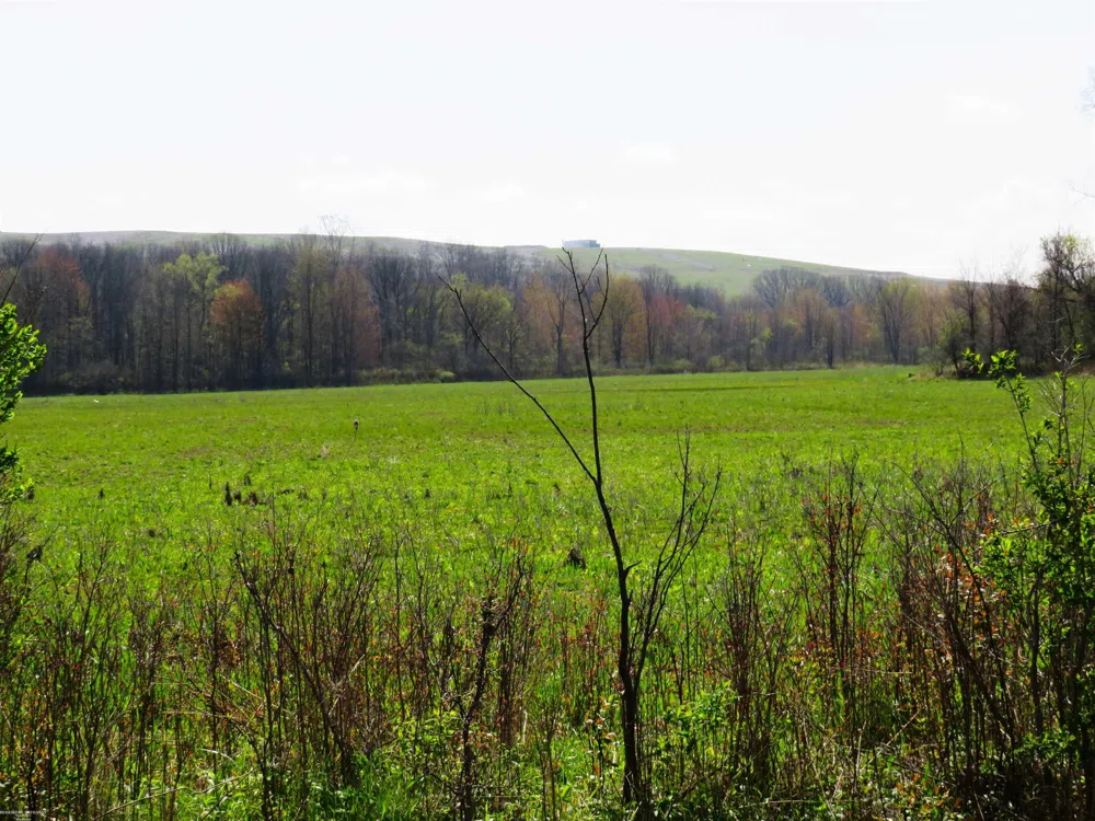 Gratiot Road Lenox Township, MI 48048