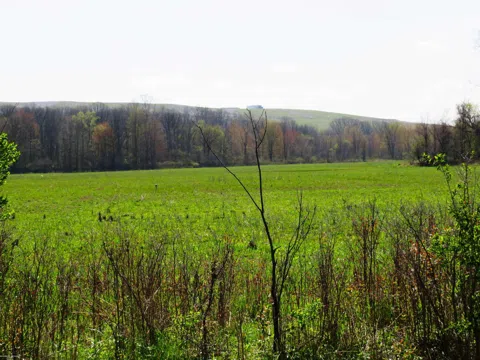 Gratiot Road