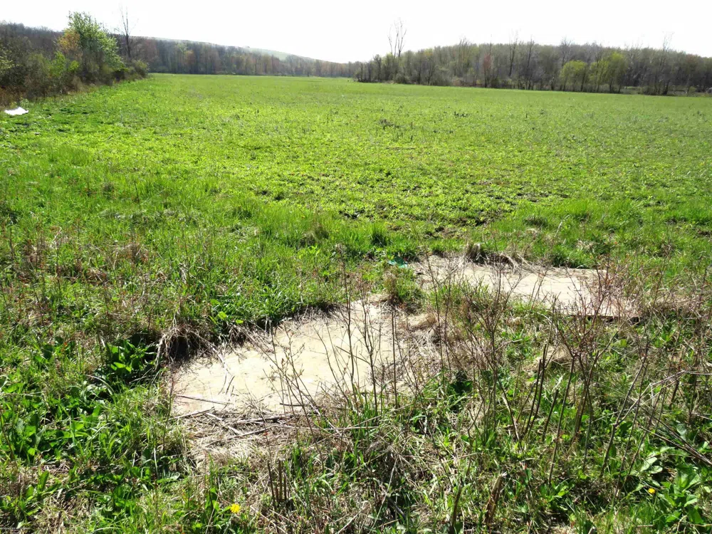 Gratiot Road Lenox Township, MI 48048