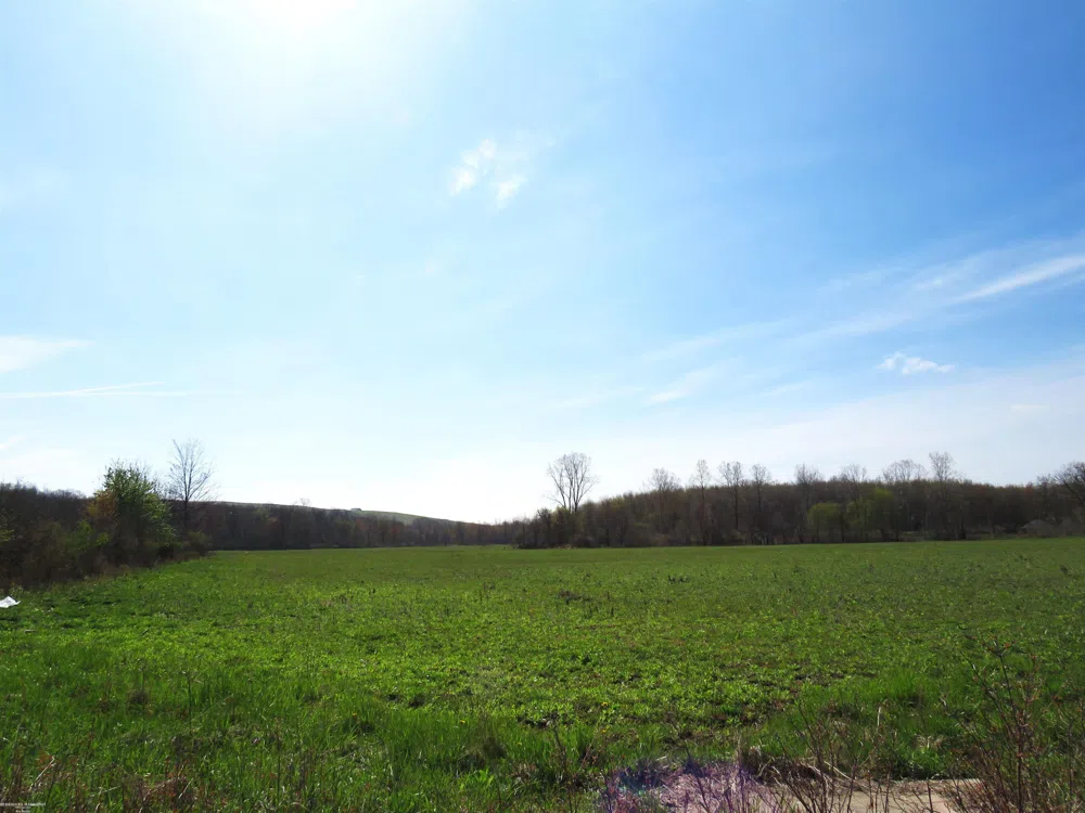 Gratiot Road Lenox Township, MI 48048