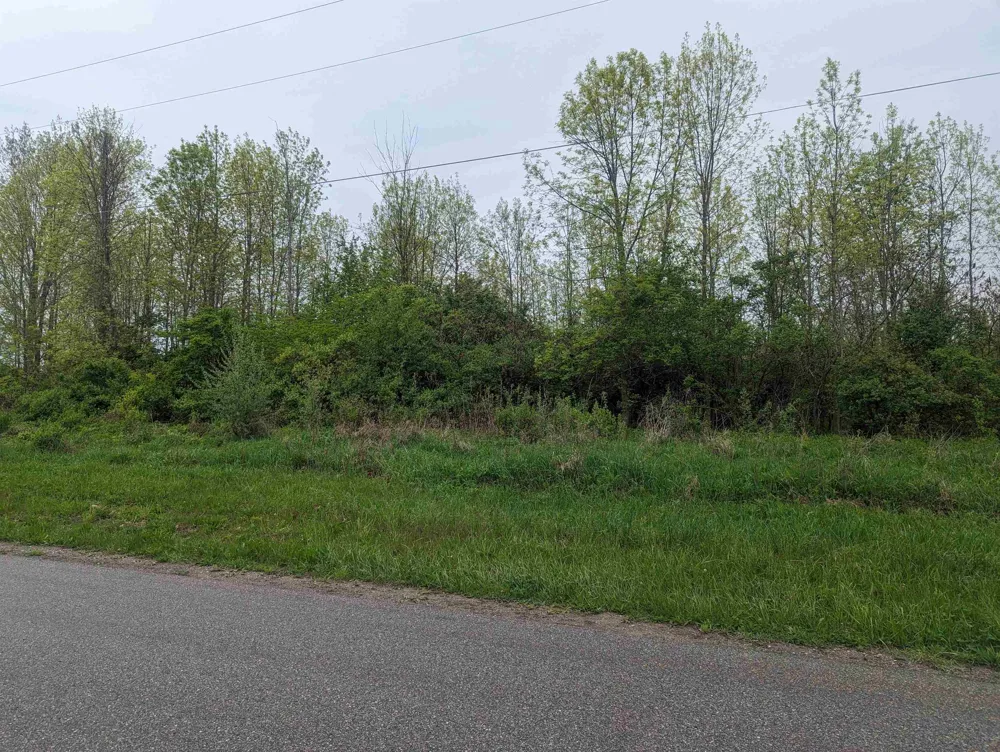 Michigan Avenue Sims Township, MI 48703