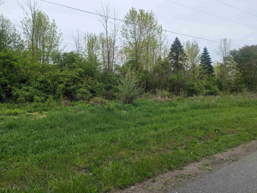 Michigan Avenue Sims Township, MI 48703