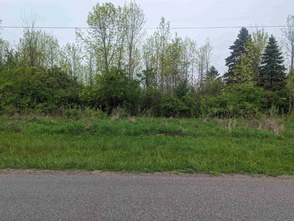 Michigan Avenue Sims Township, MI 48703