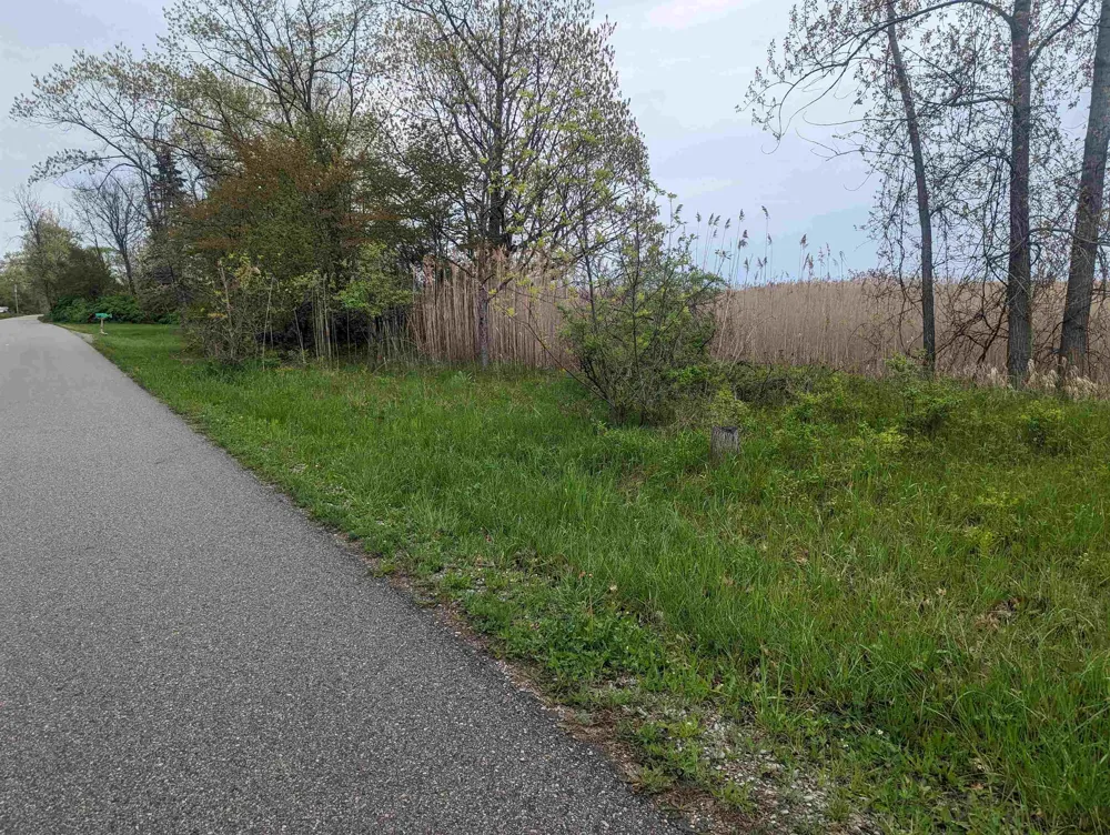 Michigan Avenue Sims Township, MI 48703