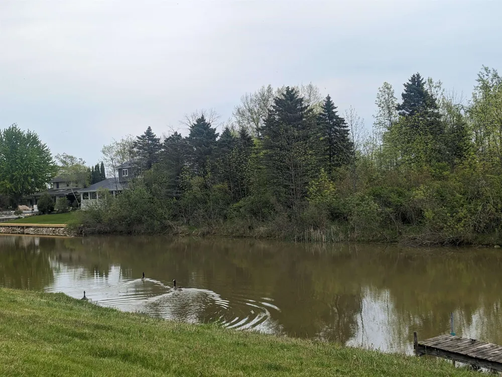 Michigan Avenue Sims Township, MI 48703