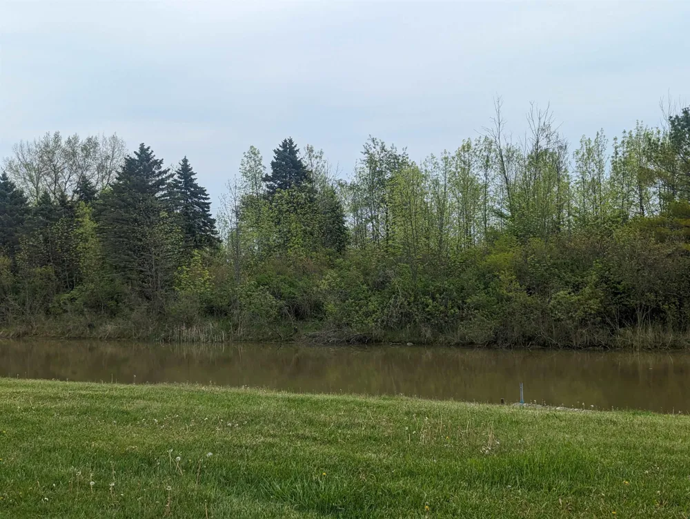 Michigan Avenue Sims Township, MI 48703